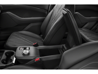 2022 Ford Mustang Mach-E California Route 1