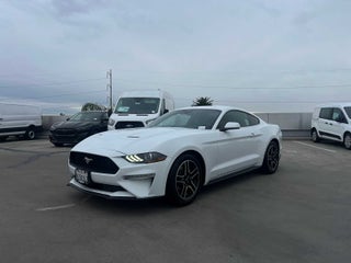 2021 Ford Mustang EcoBoost