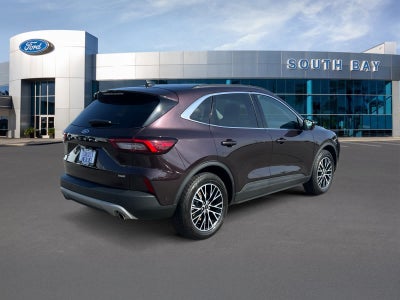2023 Ford Escape PHEV