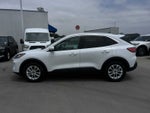 2021 Ford Escape SE Hybrid