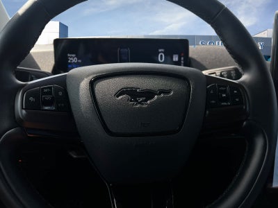 2022 Ford Mustang Mach-E California Route 1